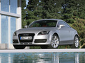 Audi TT 2006 года