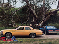 Buick Skylark 1975 года