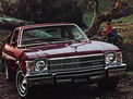 Buick Skylark 1975 года