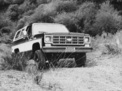 Chevrolet Blazer 1973 года