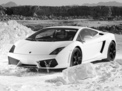 Lamborghini Gallardo 2008 года