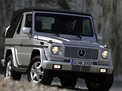 Mercedes-Benz G-class 2000 года