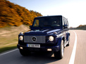 Mercedes-Benz G-class 2004 года