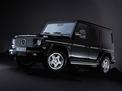 Mercedes-Benz G-class 2004 года