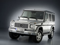 Mercedes-Benz G-class 2007 года