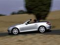 Mercedes-Benz SLK-class 2004 года