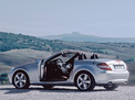 Mercedes-Benz SLK-class 2004 года