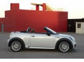 Mini Roadster