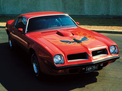 Pontiac Firebird 1974 года