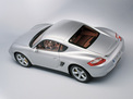 Porsche Cayman 2006 года