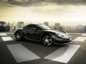 Porsche Cayman 2008 года