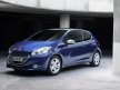 Тест-парк Peugeot 208: Вопреки прогнозам